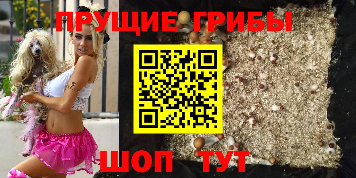 Галлюциногенные грибы Psilocybine cubensis  Вход с VPN  Советск 